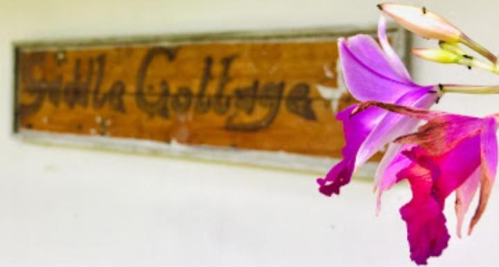 Saddle Cottage Елла Екстер'єр фото